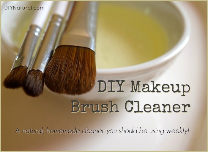 Makeup brush cleaning solution diy