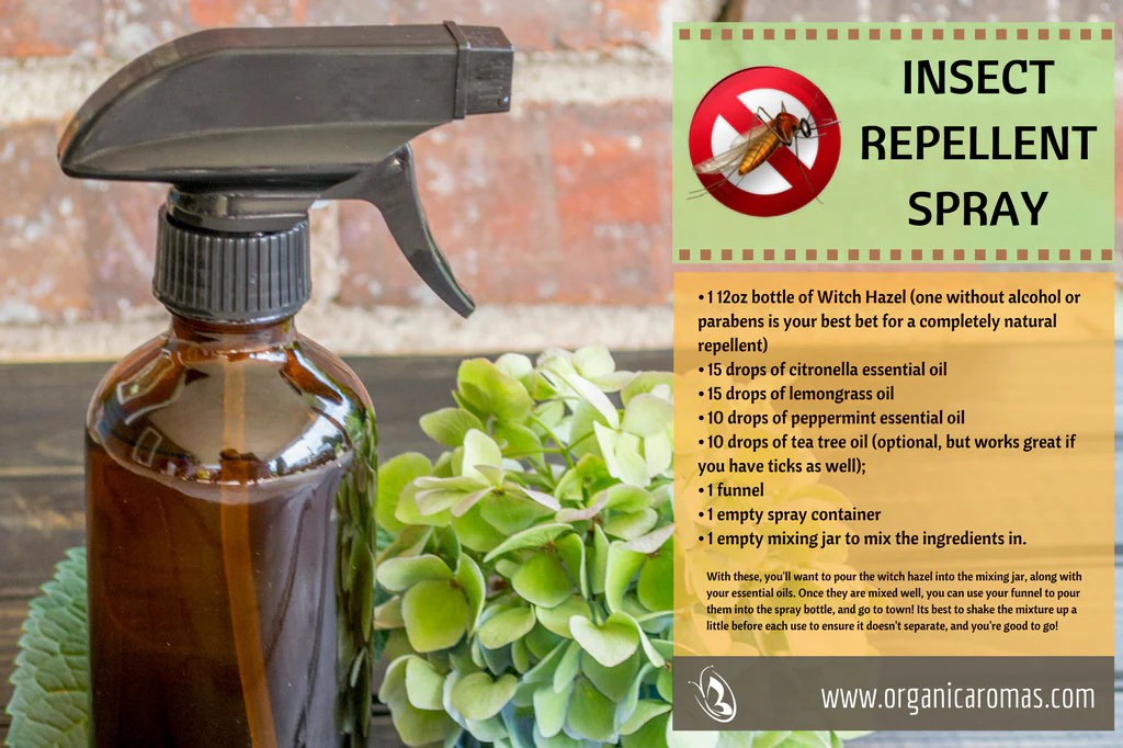 Natural insect repellent diy