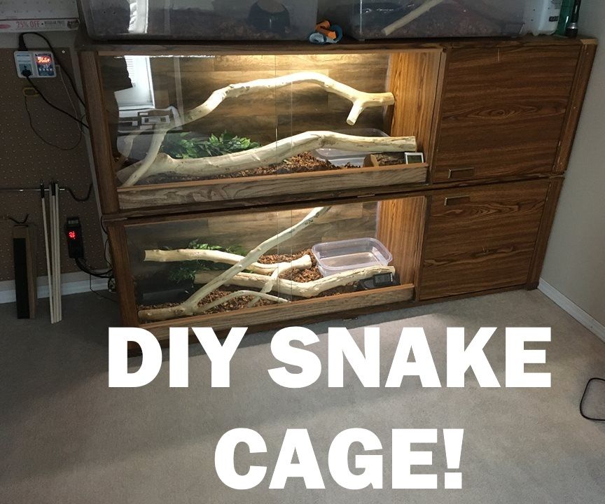 Diy snake rack