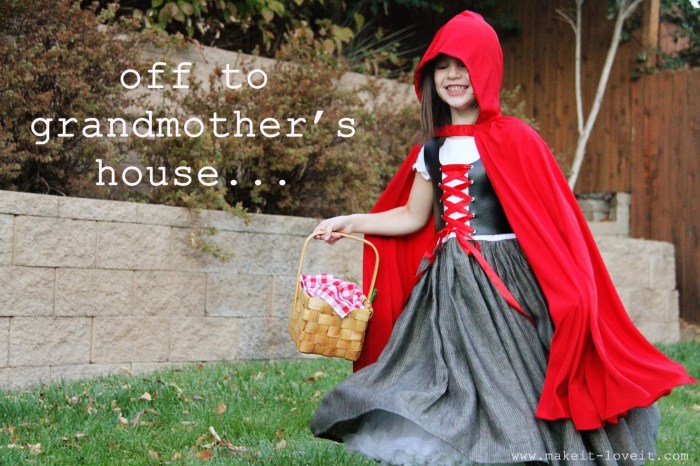 Little red riding hood diy costume