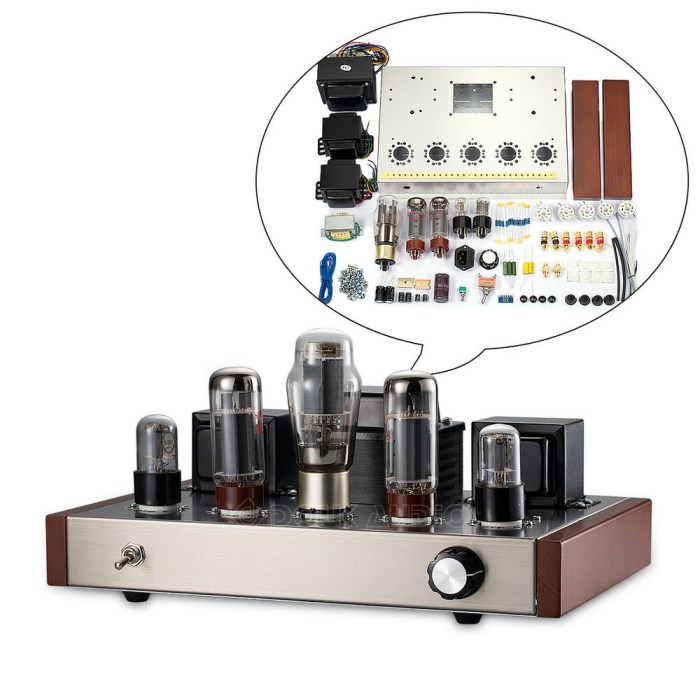 Diy tube amp kit