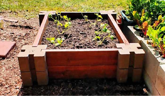 Diy raised garden bed layers